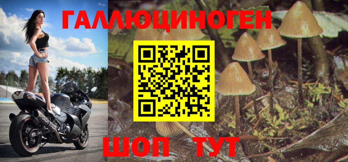 Галлюциногенные грибы ЛСД  Галлюциногенные грибы MAGIC MUSHROOMS  Новосибирск  Вход с VPN 