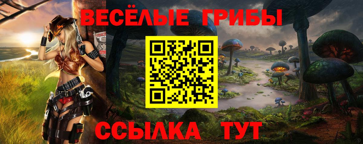 Галлюциногенные грибы мицелий Новосибирск